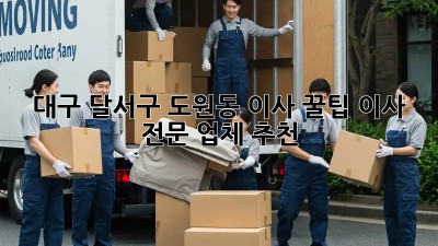 대구 달서구 도원동 이사 꿀팁🍯 이사 전문 업체 추천!